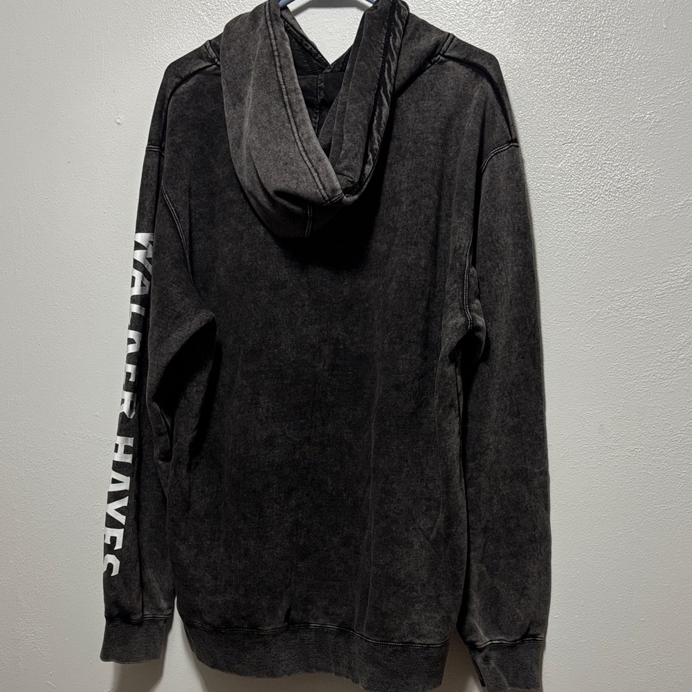 Walker Hayes “FANCY LIKE” Unisex Hoodie - Picture 4 of 5